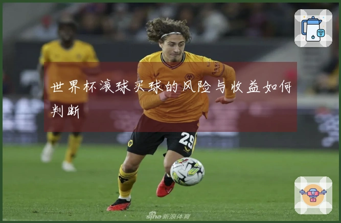 世界杯滚球买球的风险与收益如何判断
