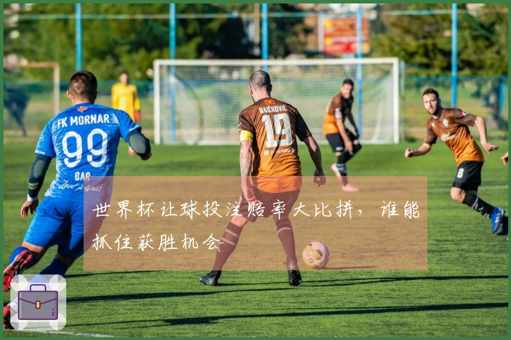 世界杯让球投注赔率大比拼，谁能抓住获胜机会