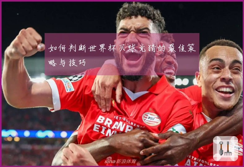 如何判断世界杯买球竞猜的最佳策略与技巧
