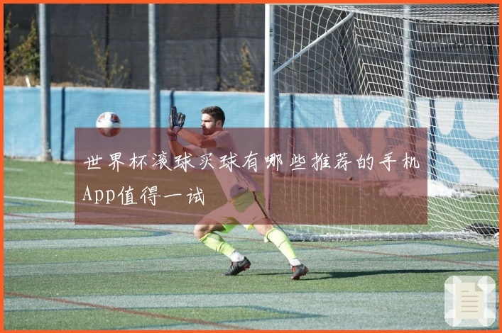世界杯滚球买球有哪些推荐的手机App值得一试