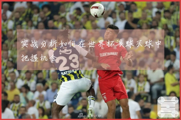 实战分析如何在世界杯滚球买球中把握机会