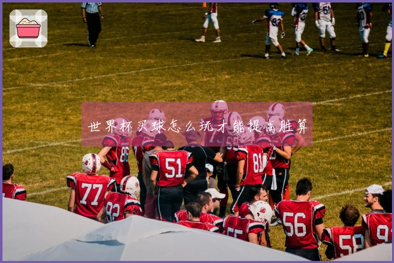 世界杯买球怎么玩才能提高胜算