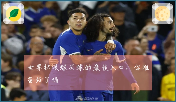 世界杯滚球买球的最佳入口，你准备好了吗