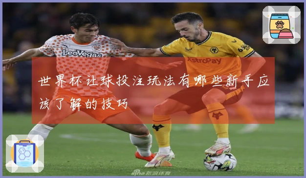 世界杯让球投注玩法有哪些新手应该了解的技巧