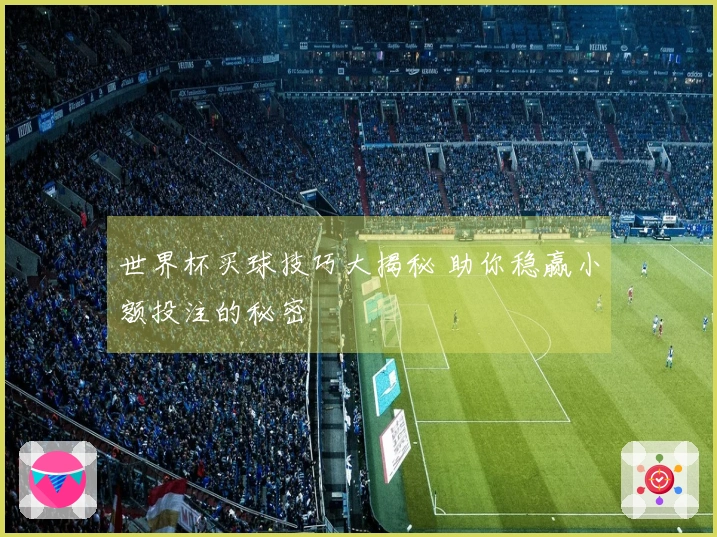 世界杯买球技巧大揭秘 助你稳赢小额投注的秘密