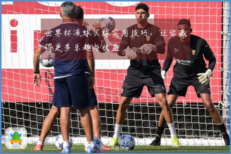 世界杯滚球买球实用技巧，让你赢得更多乐趣与收益