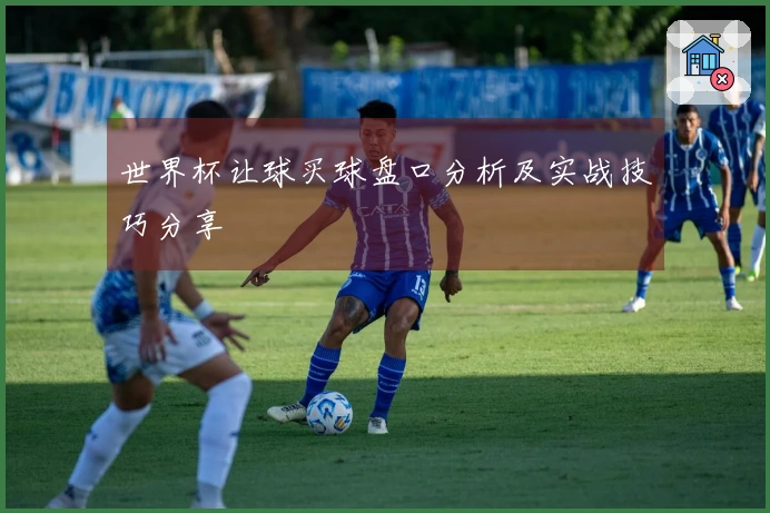 世界杯让球买球盘口分析及实战技巧分享
