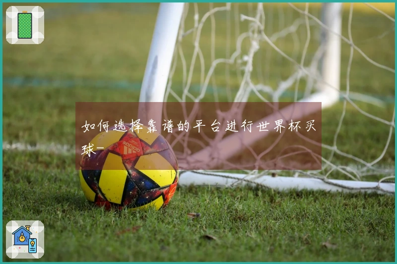 如何选择靠谱的平台进行世界杯买球-