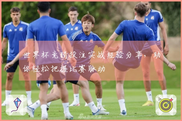 世界杯竞猜投注实战经验分享，助你轻松把握比赛脉动