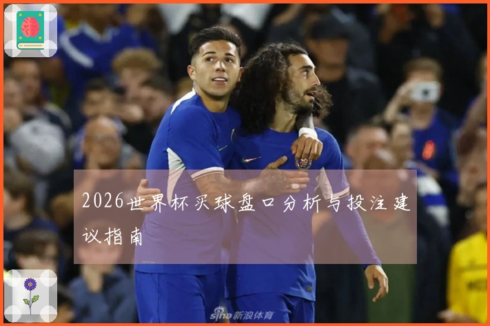 2026世界杯买球盘口分析与投注建议指南