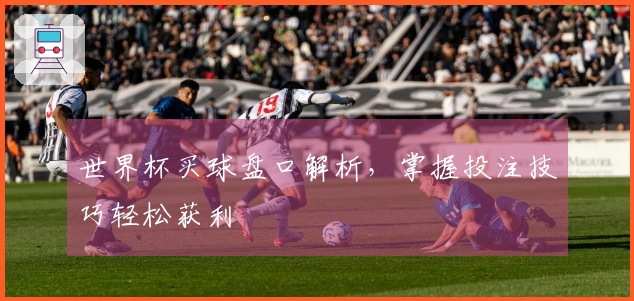 世界杯买球盘口解析，掌握投注技巧轻松获利