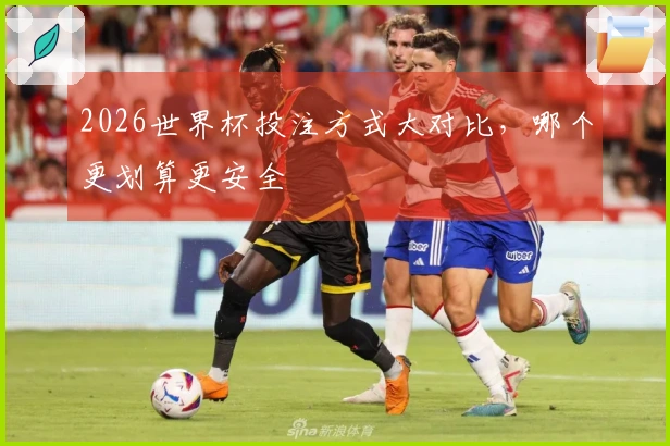 2026世界杯投注方式大对比，哪个更划算更安全