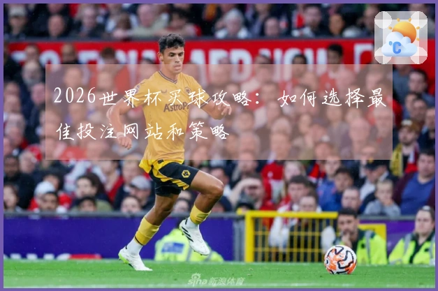 2026世界杯买球攻略：如何选择最佳投注网站和策略