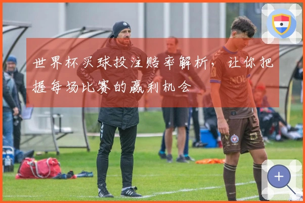世界杯买球投注赔率解析，让你把握每场比赛的赢利机会