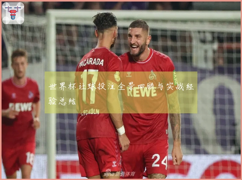 世界杯让球投注全景回顾与实战经验总结