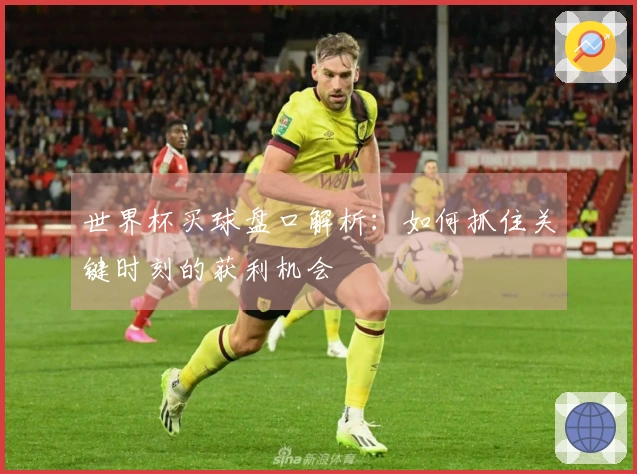 世界杯买球盘口解析：如何抓住关键时刻的获利机会