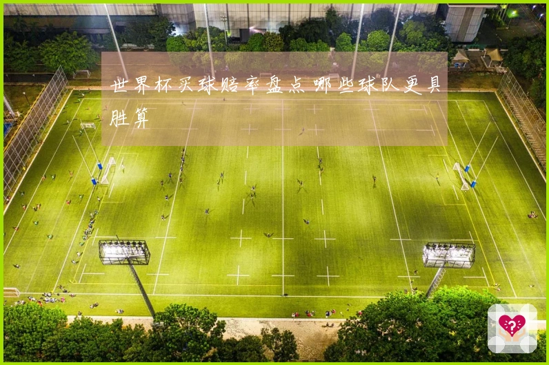 世界杯买球赔率盘点 哪些球队更具胜算