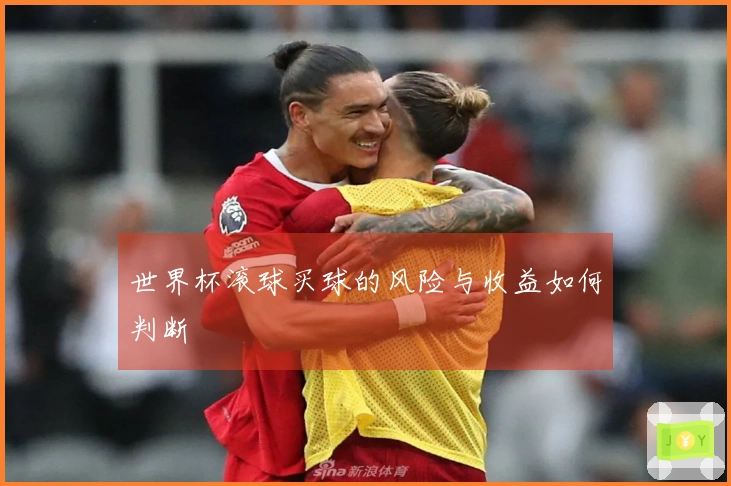 世界杯滚球买球的风险与收益如何判断