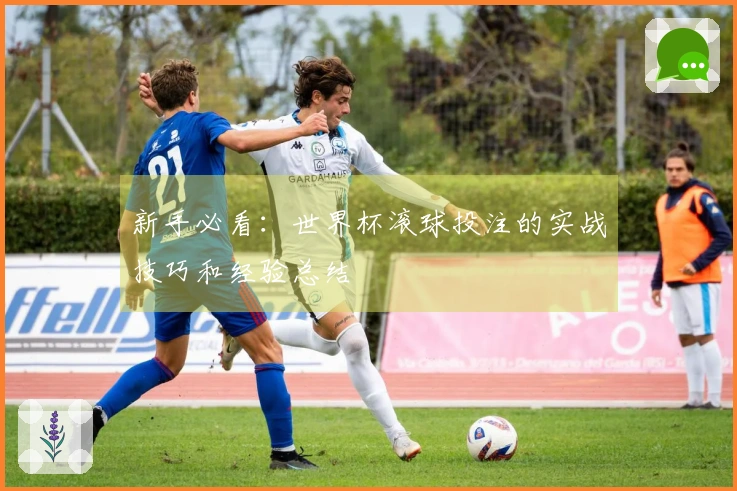 新手必看：世界杯滚球投注的实战技巧和经验总结