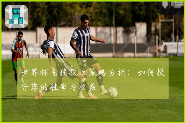世界杯竞猜投注策略分析：如何提升您的胜率与收益