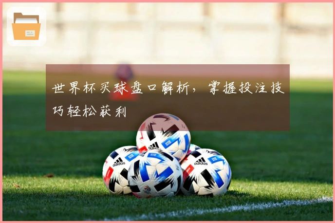 世界杯买球盘口解析，掌握投注技巧轻松获利